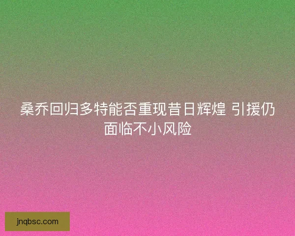 桑乔回归多特能否重现昔日辉煌 引援仍面临不小风险
