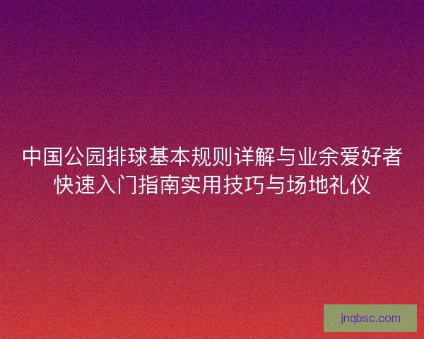 中国公园排球基本规则详解与业余爱好者快速入门指南实用技巧与场地礼仪